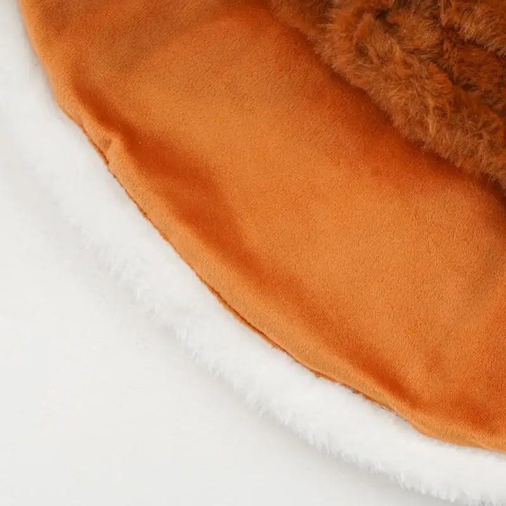 Cape d’hiver pour chien : douce, chaude, craquante