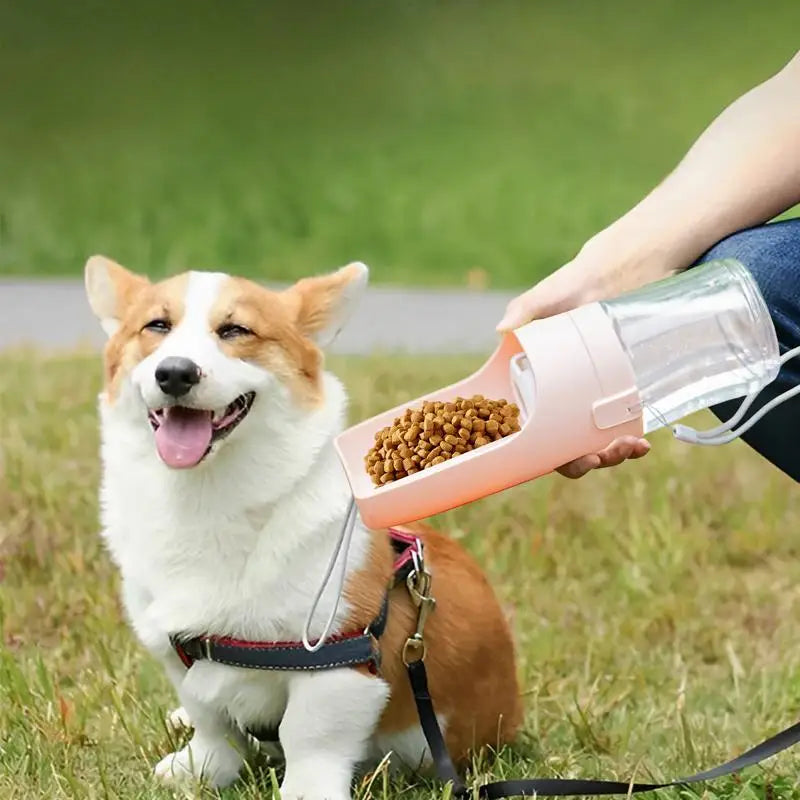 Gourde Portable 2-en-1 pour Chien - HautePattes