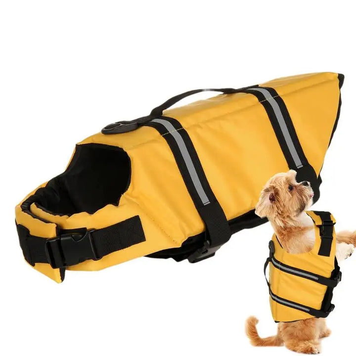Gilet de sauvetage pour chien qui protège sans gêner