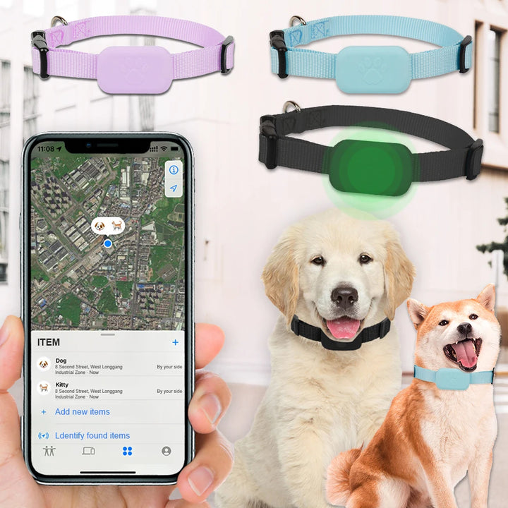 Collier GPS chien & chat : visible, localisable, et toujours retrouvable