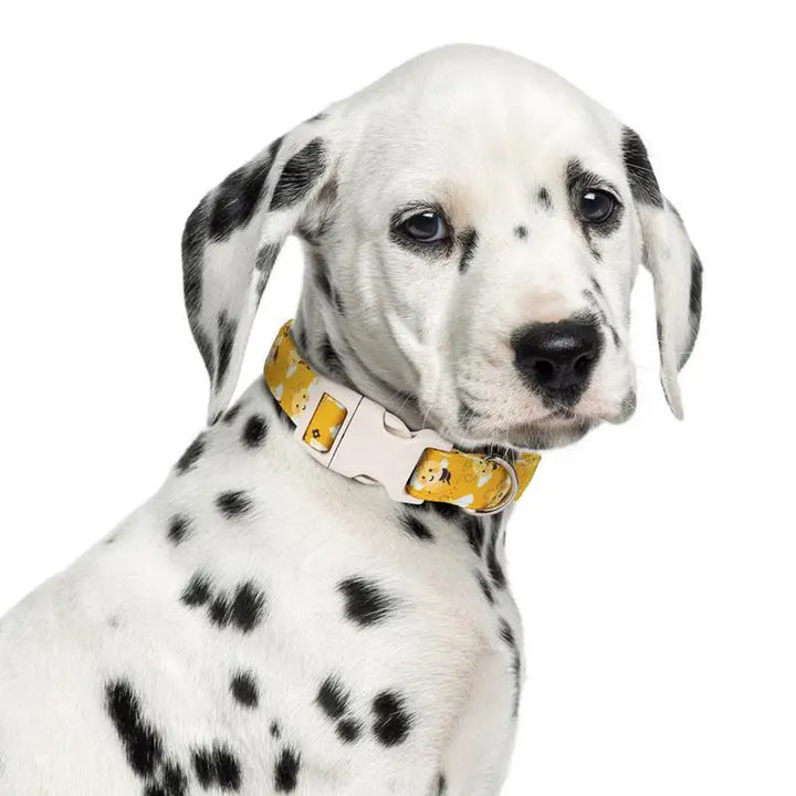 Collier chien coton jaune – Fun, confort et tendresse au cou