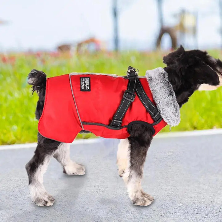 Manteau triple épaisseur avec harnais intégré et col chaud