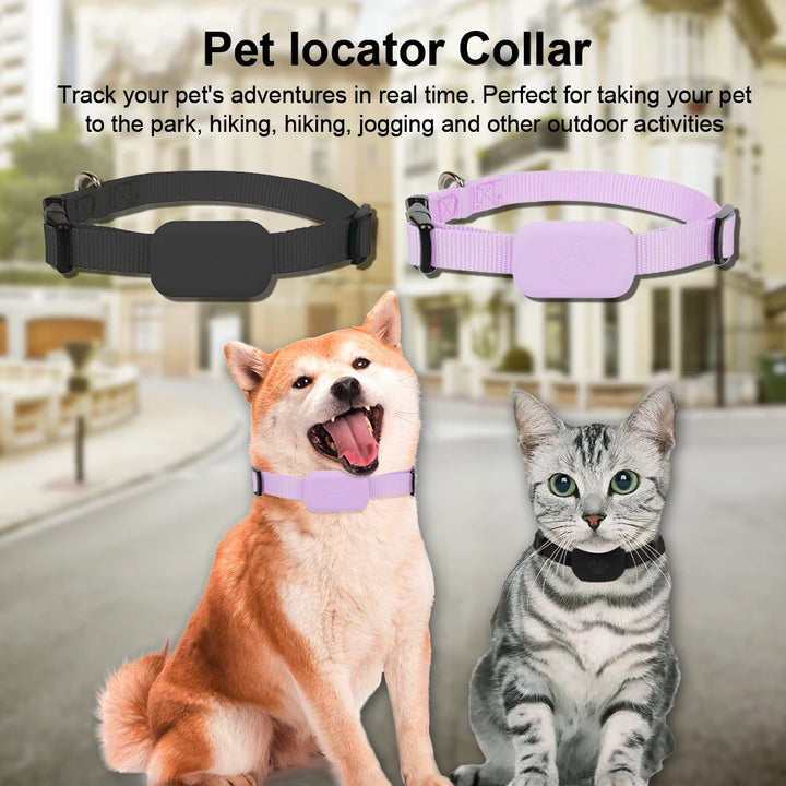 Collier GPS chien & chat : visible, localisable, et toujours retrouvable