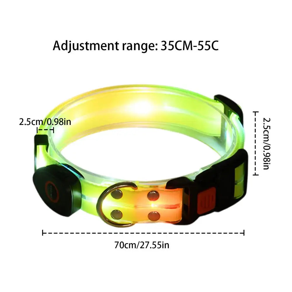 Collier lumineux chien : balades nocturnes en toute sécurité