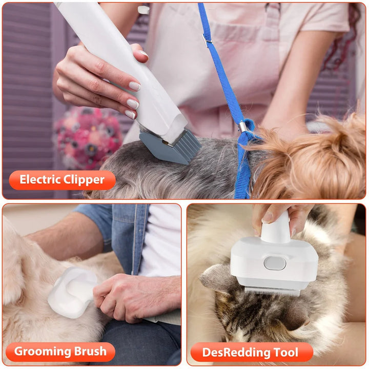 Kit de Toilettage Premium avec Aspirateur 10 kPa pour Chiens et Chats - HautePattes