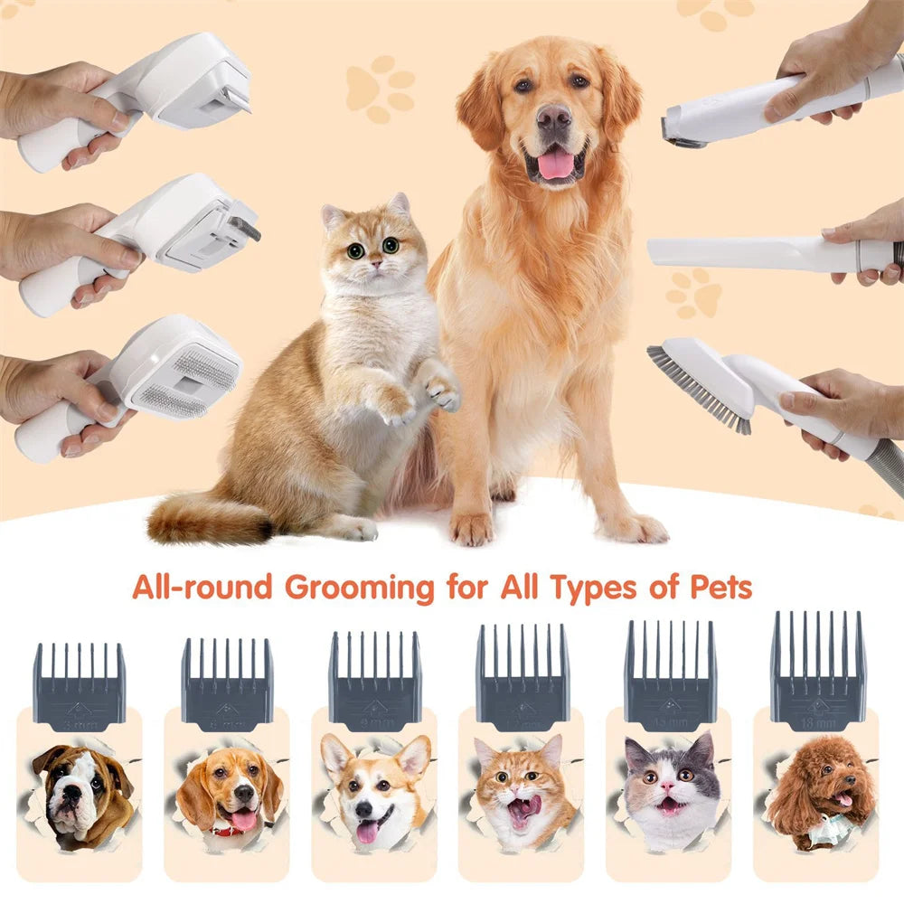 Kit de Toilettage Premium avec Aspirateur 10 kPa pour Chiens et Chats - HautePattes