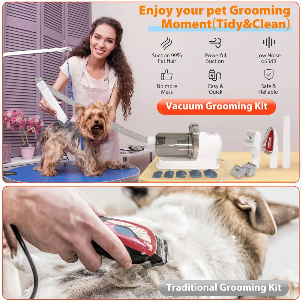 Kit de Toilettage Premium avec Aspirateur 10 kPa pour Chiens et Chats - HautePattes