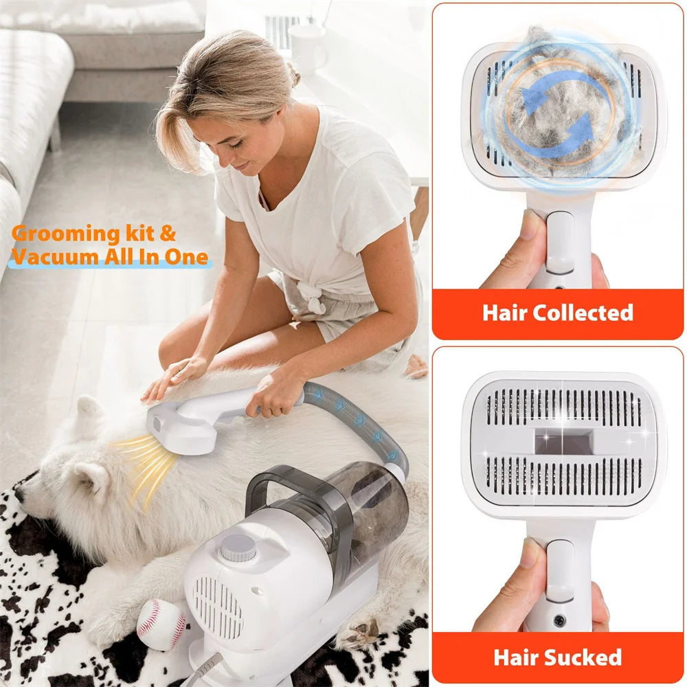 Kit de Toilettage Premium avec Aspirateur 10 kPa pour Chiens et Chats - HautePattes