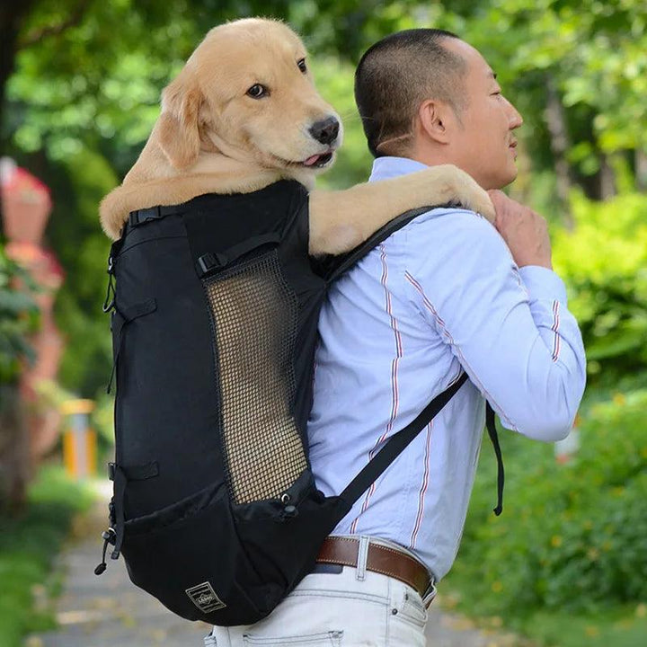 Sac à dos d'extérieur à Double épaule pour chien, sac de transport réfléchissant réglable pour chiens bouledogue français carlin, sac à dos de transport pour voyage - HautePattes