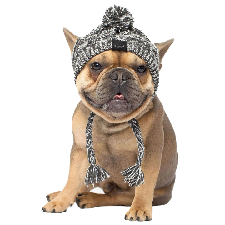 Bonnet tricoté chaud pour chien avec pompon - HautePattes