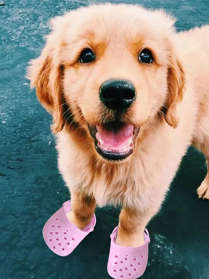 Pantoufles Crocs d’été respirantes pour chien - HautePattes