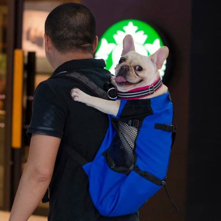 Sac à dos d'extérieur à Double épaule pour chien, sac de transport réfléchissant réglable pour chiens bouledogue français carlin, sac à dos de transport pour voyage - HautePattes