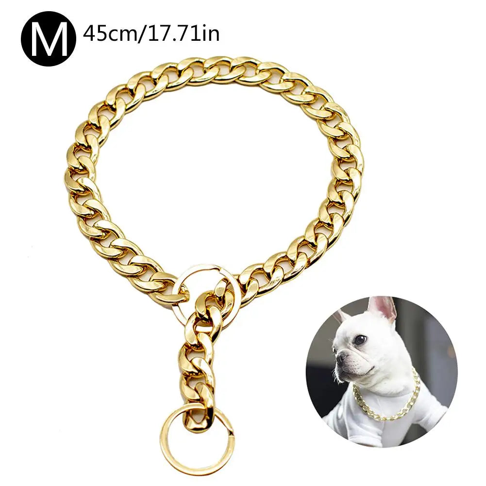 Collier doré chien puissant : sobre, statutaire, taillé pour les vrais liens