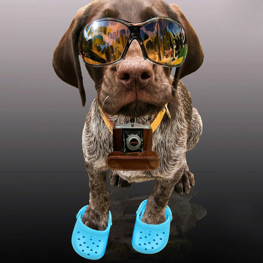 Pantoufles Crocs d’été respirantes pour chien - HautePattes