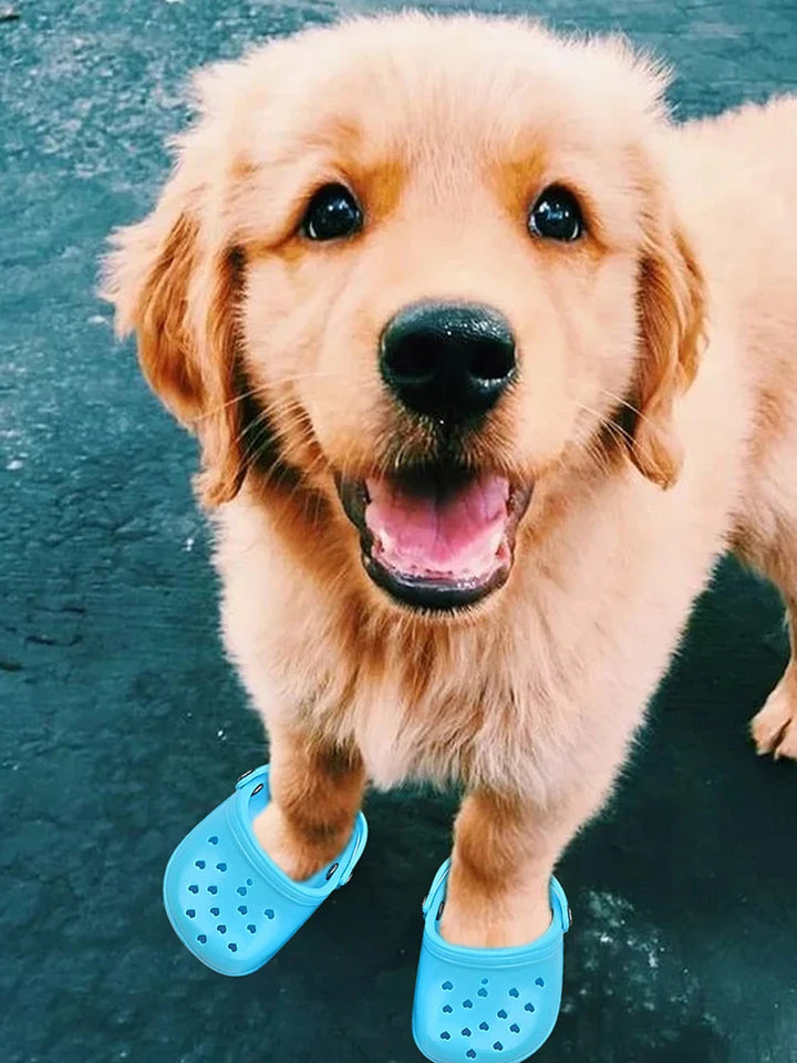 Pantoufles Crocs d’été respirantes pour chien - HautePattes