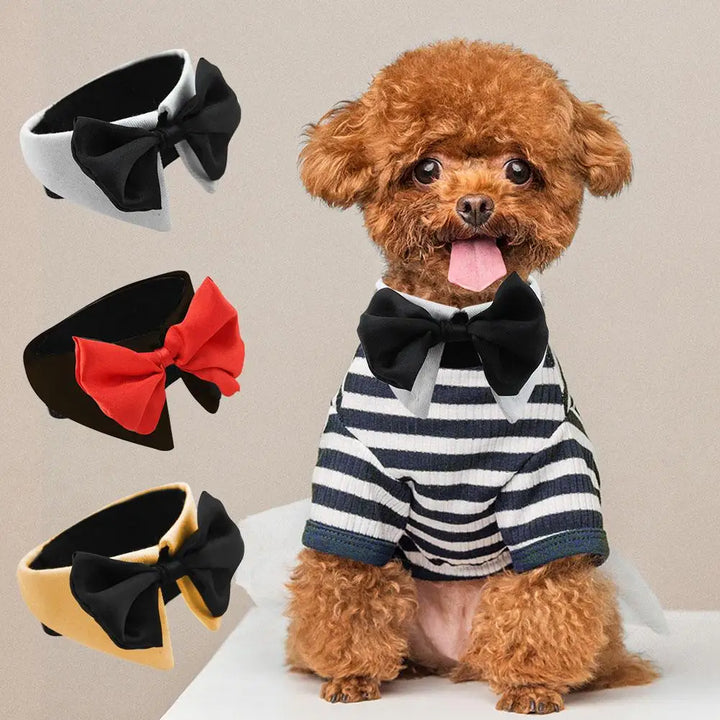 Nœud papillon pour chien & chat – Le style qui dit “je t’aime”