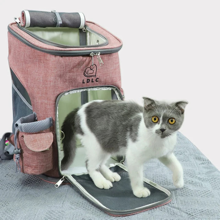 Sac à dos de transport pour animaux de compagnie, sac à bandoulière respirant pour voyage en plein air pour petits chiens et chats, emballage Portable, transport de fournitures pour animaux de compagnie - HautePattes