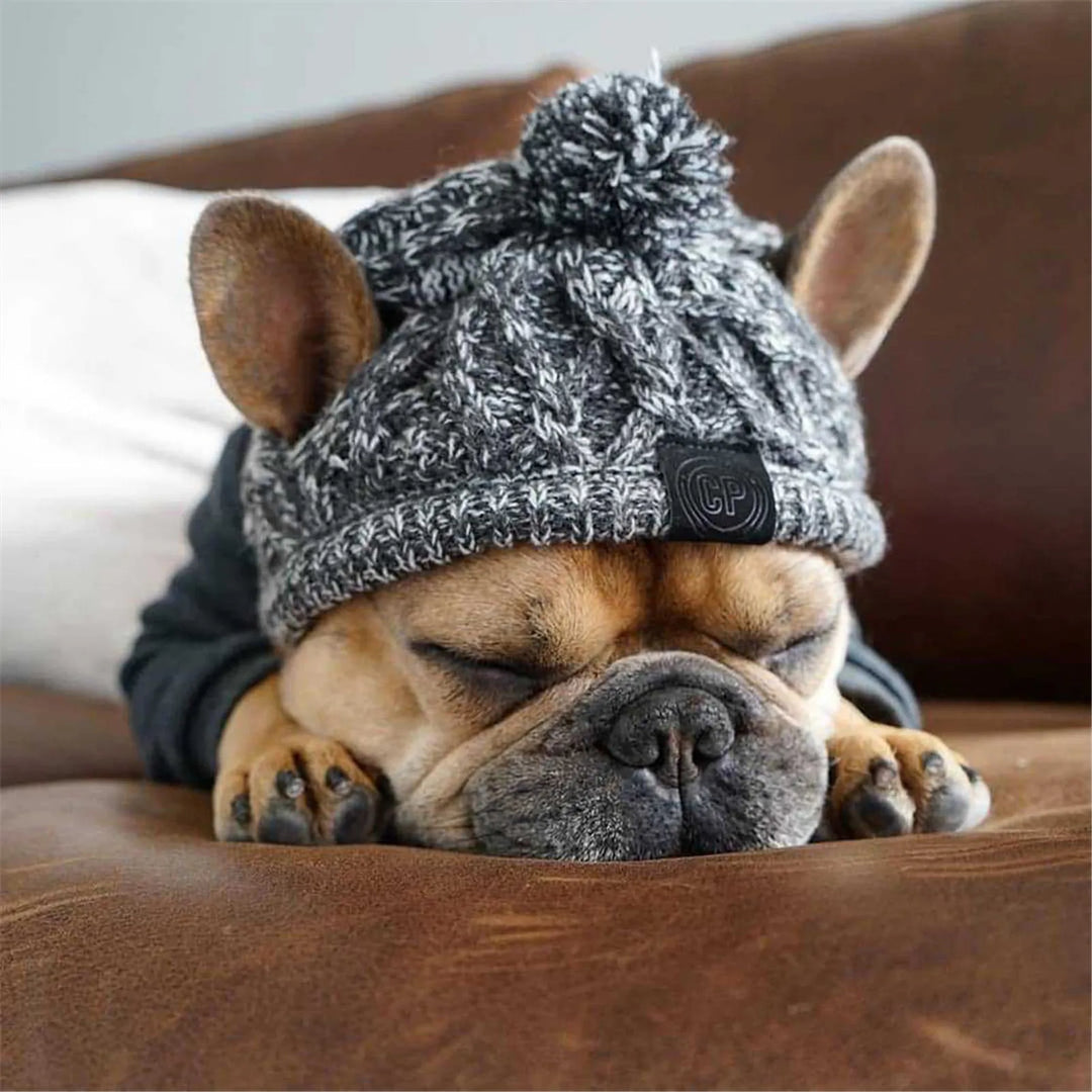 Bonnet tricoté chaud pour chien avec pompon - HautePattes
