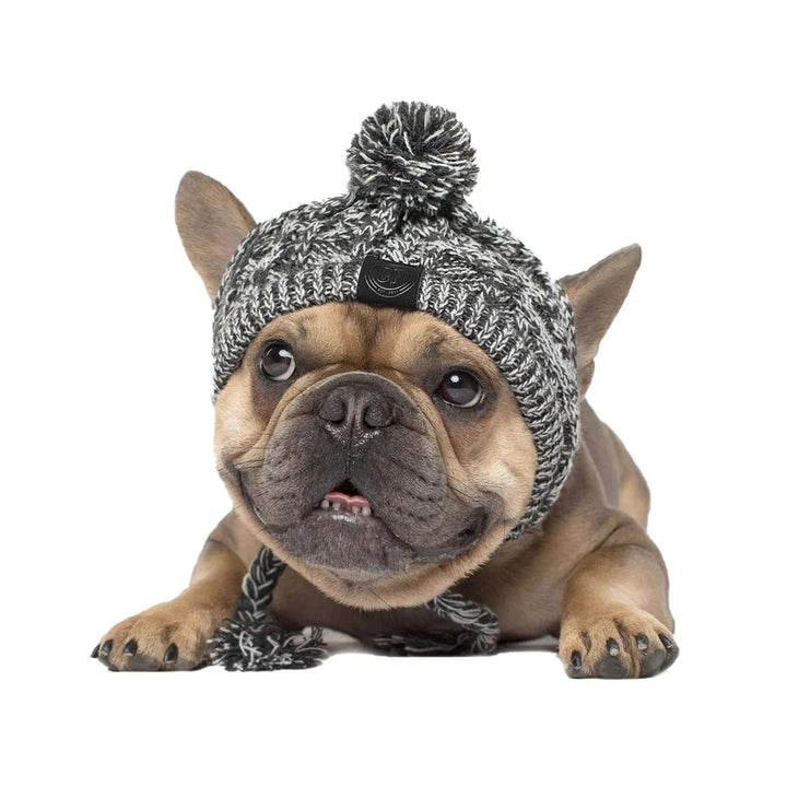 Bonnet tricoté chaud pour chien avec pompon - HautePattes