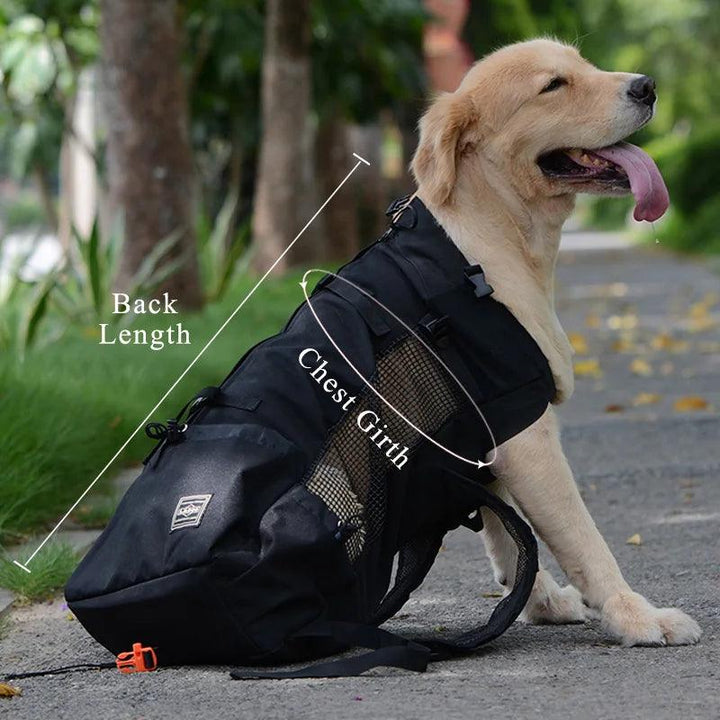 Sac à dos d'extérieur à Double épaule pour chien, sac de transport réfléchissant réglable pour chiens bouledogue français carlin, sac à dos de transport pour voyage - HautePattes