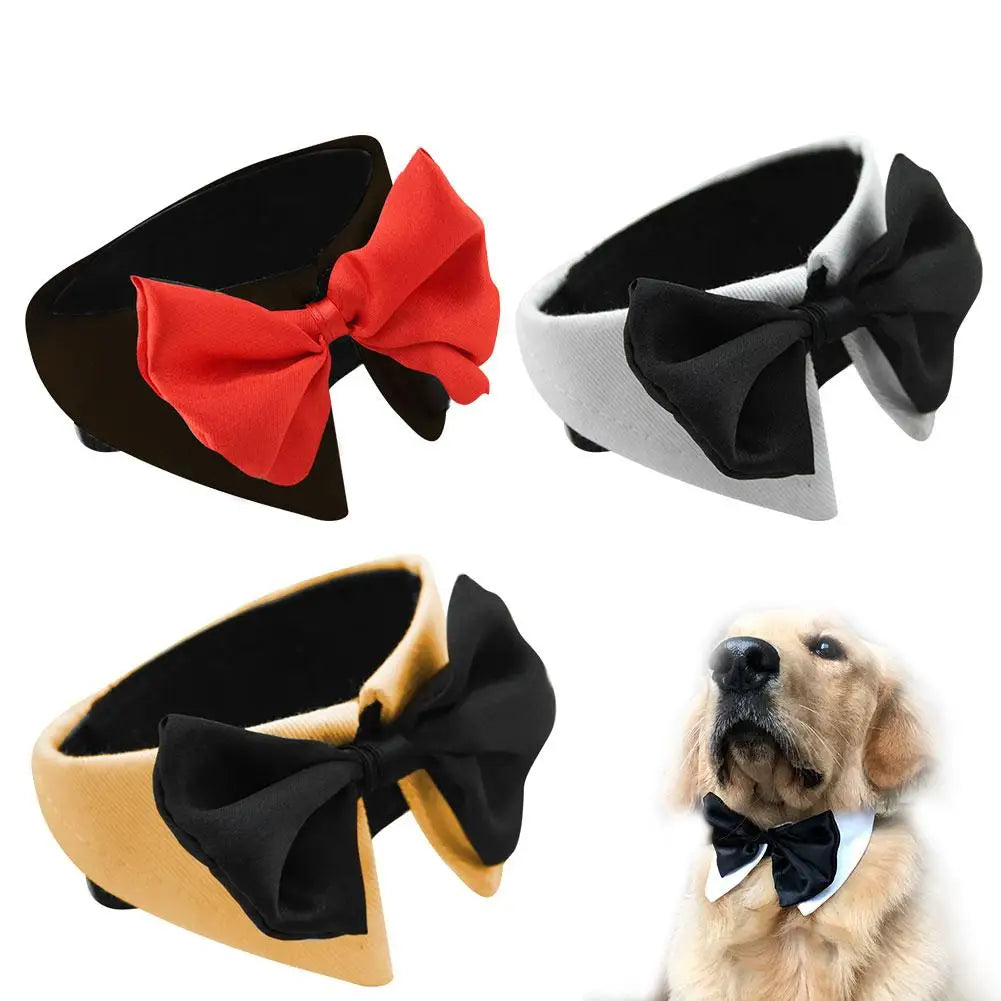 Nœud papillon pour chien & chat – Le style qui dit “je t’aime”