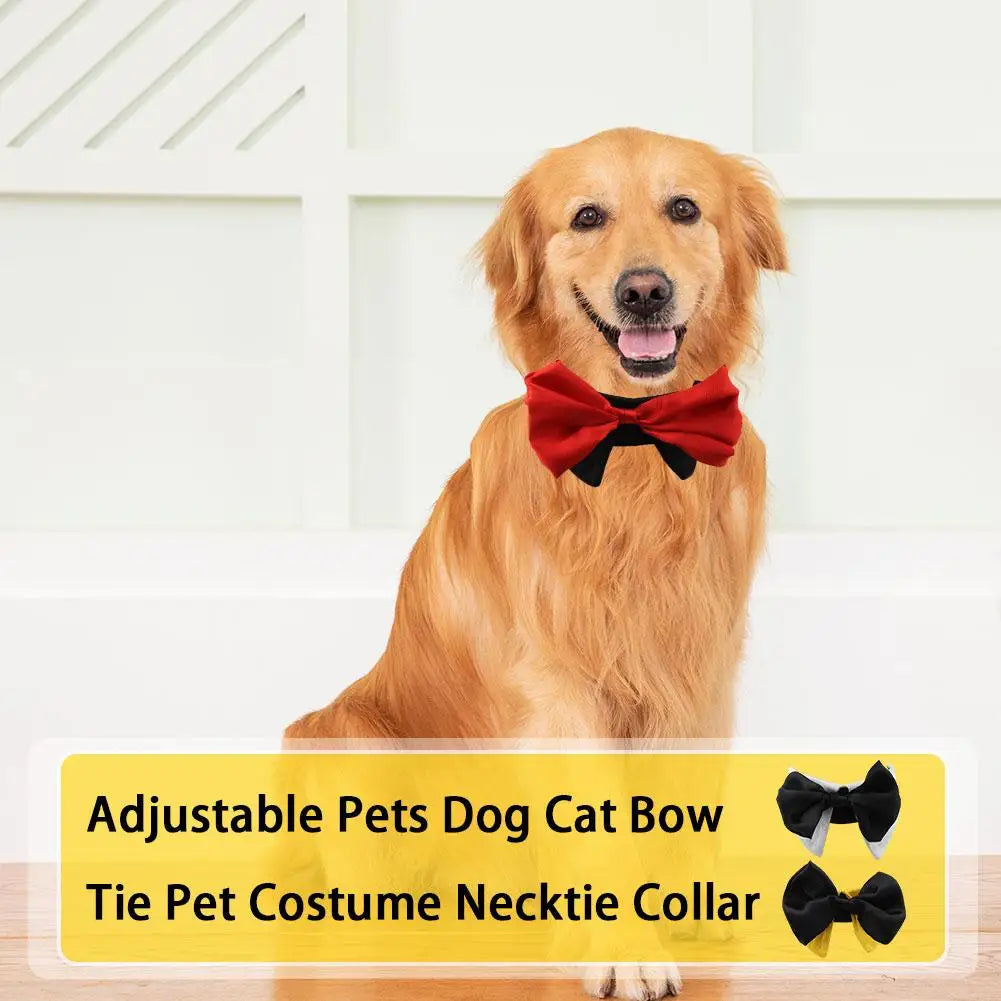 Nœud papillon pour chien & chat – Le style qui dit “je t’aime”