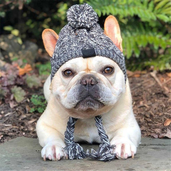 Bonnet tricoté chaud pour chien avec pompon - HautePattes