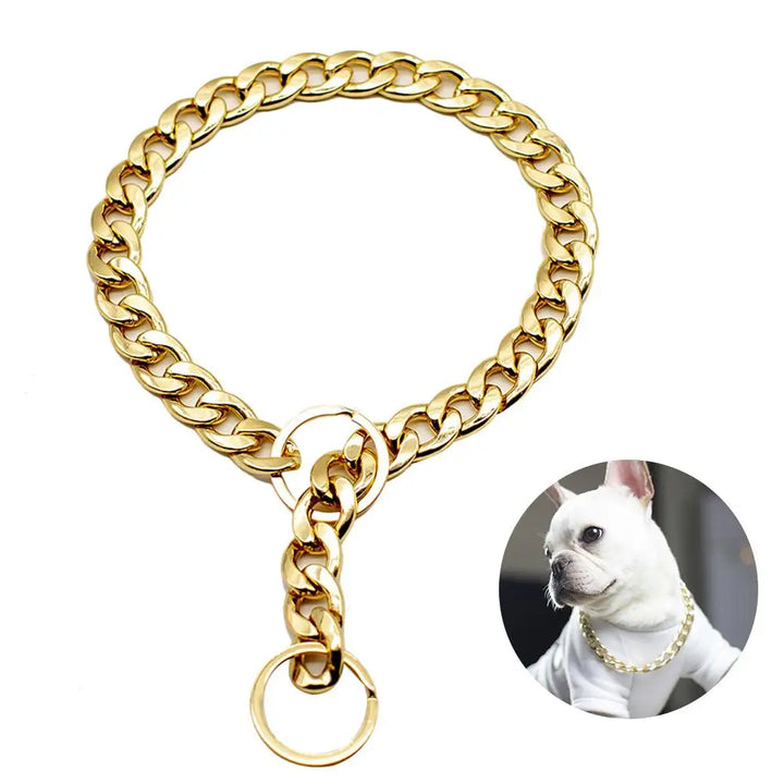 Collier doré chien puissant : sobre, statutaire, taillé pour les vrais liens