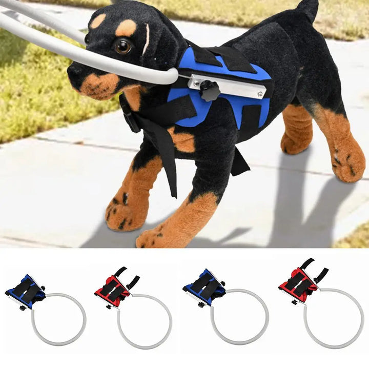 Harnais pour chien aveugle : voir sans voir, avancer sans peur