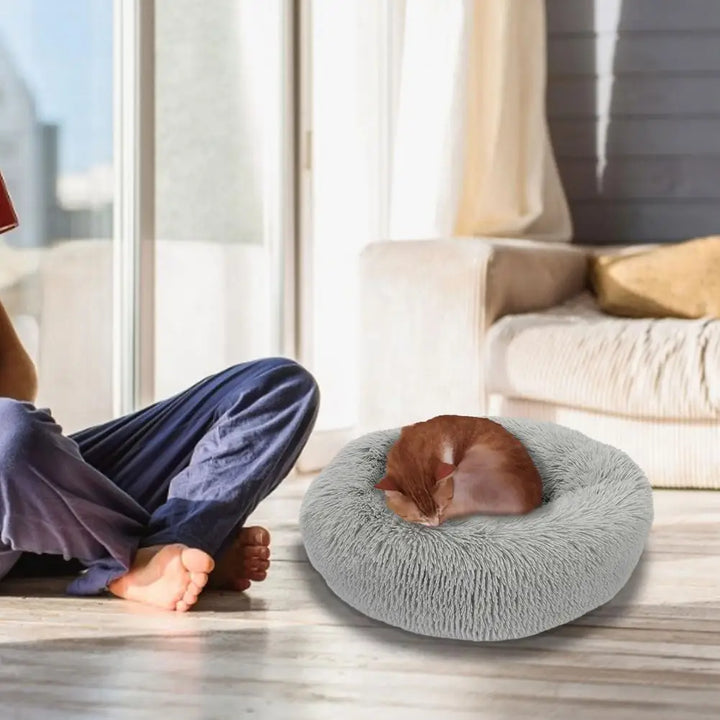 Lit Chauffant USB pour Chat - HautePattes