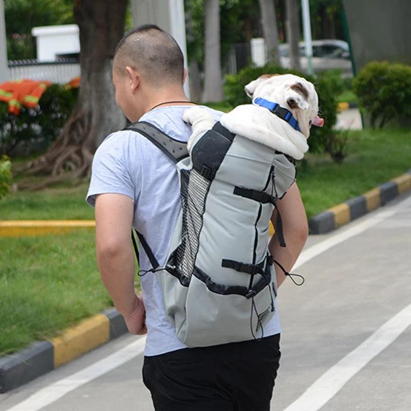 Sac à dos d'extérieur à Double épaule pour chien, sac de transport réfléchissant réglable pour chiens bouledogue français carlin, sac à dos de transport pour voyage - HautePattes