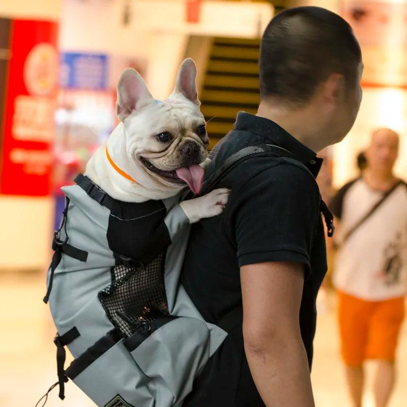Sac à dos d'extérieur à Double épaule pour chien, sac de transport réfléchissant réglable pour chiens bouledogue français carlin, sac à dos de transport pour voyage - HautePattes