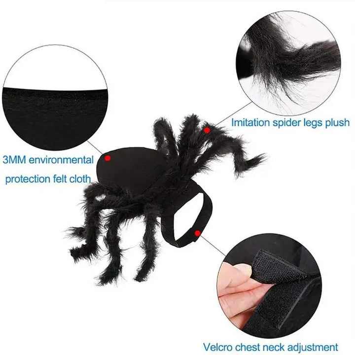 Costume Halloween araignée – Pour chat, chiot ou petit chien