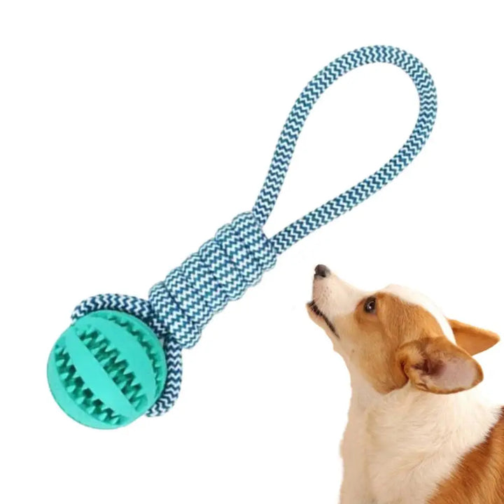 Balle à Corde Intelligente pour Chien - HautePattes