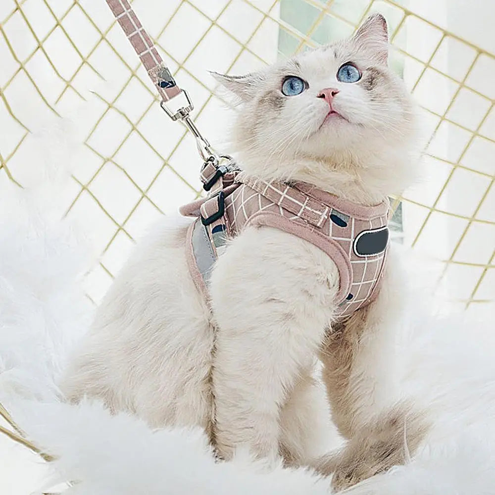 Harnais de Sécurité pour Chat Premium – Confort et Contrôle Réunis - HautePattes