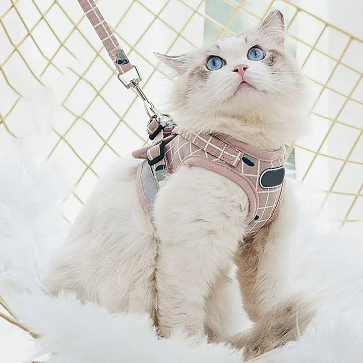 Harnais de Sécurité pour Chat Premium – Confort et Contrôle Réunis - HautePattes