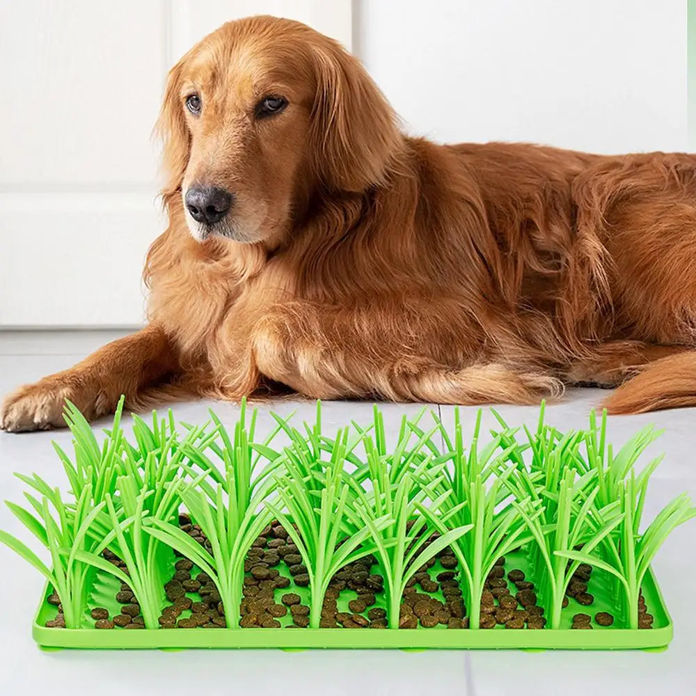 Tapis d’alimentation en herbe pour animaux de compagnie - HautePattes