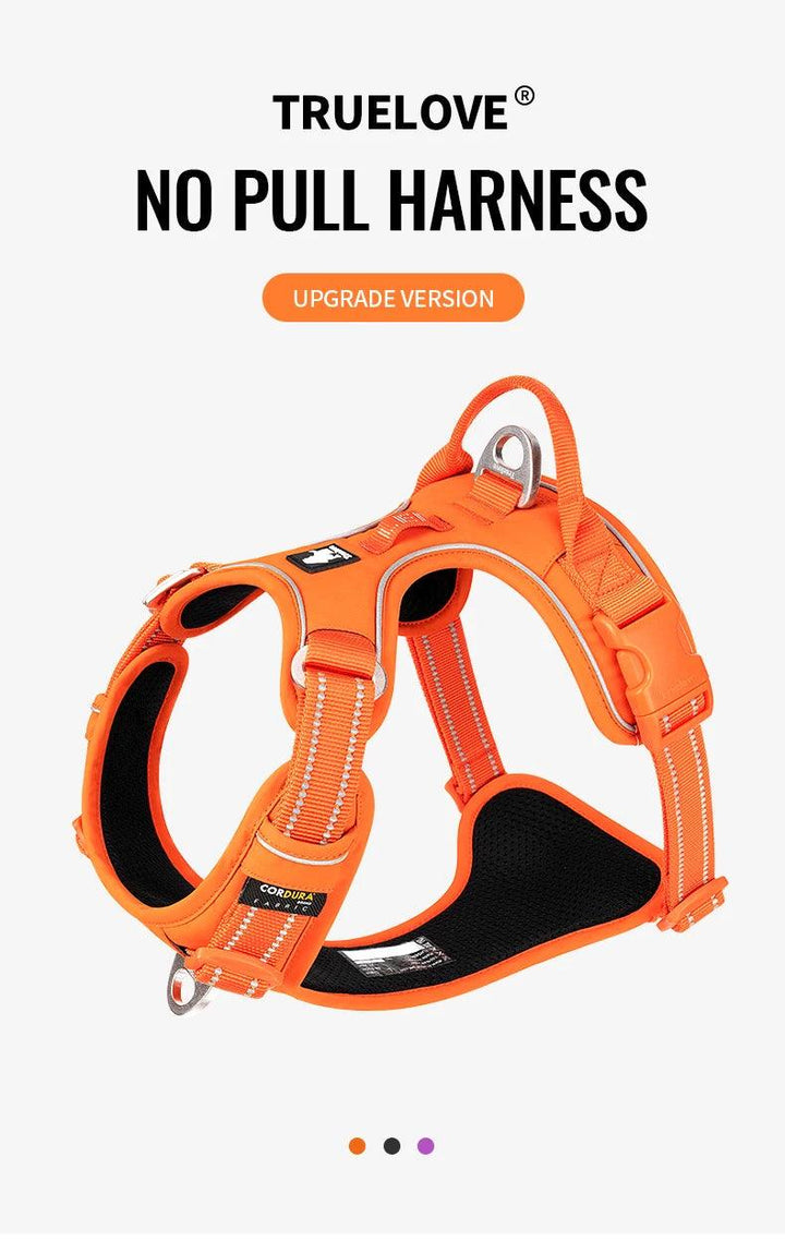 Harnais True love anti-traction chien nylon réfléchissant - HautePattes