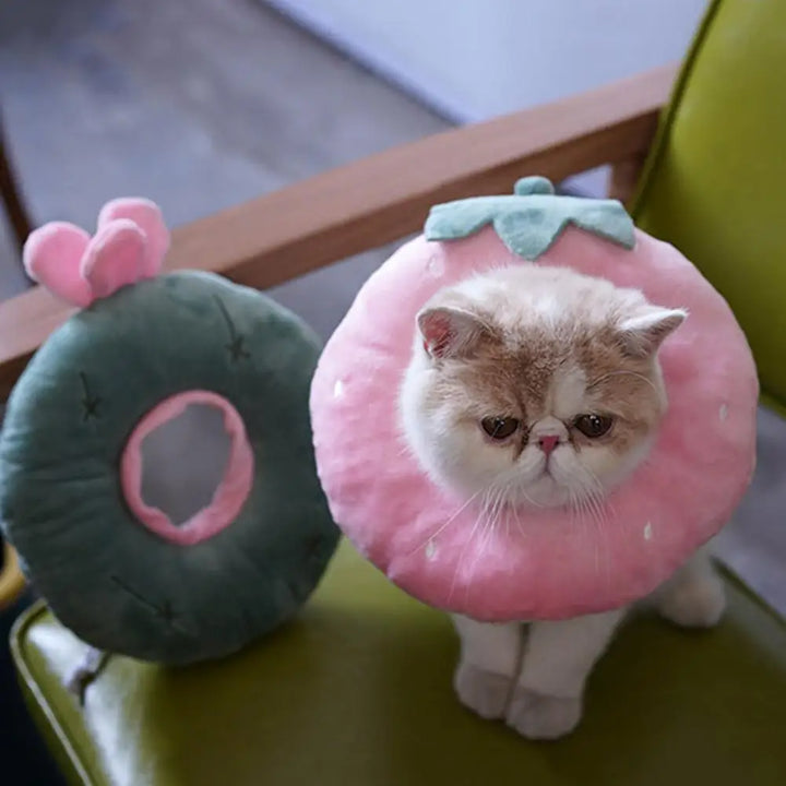 Collerette pour chat en nylon - HautePattes