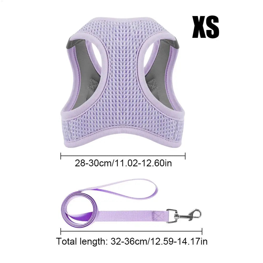 Harnais et laisses anti-fuite pour chat, pour petit et moyen chien, respirant, réfléchissant, réglable, sangle de poitrine pour chaton, fournitures pour animaux de compagnie - HautePattes