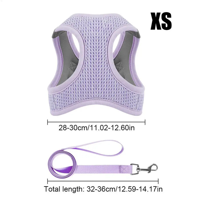 Harnais et laisses anti-fuite pour chat, pour petit et moyen chien, respirant, réfléchissant, réglable, sangle de poitrine pour chaton, fournitures pour animaux de compagnie - HautePattes