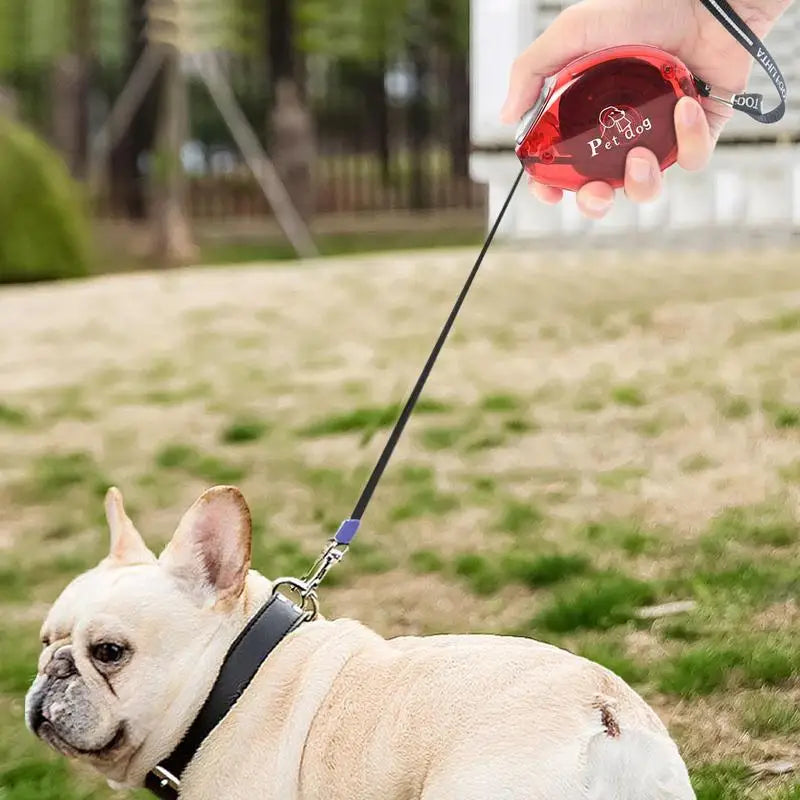 Laisse rétractable chien : liberté douce au bout des doigts