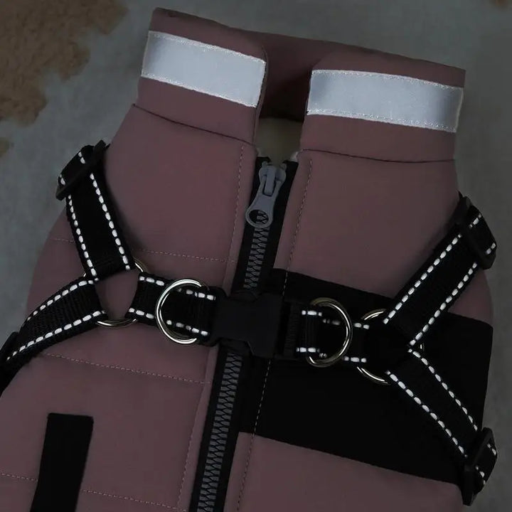 Manteau imperméable doublé pour chien stylé
