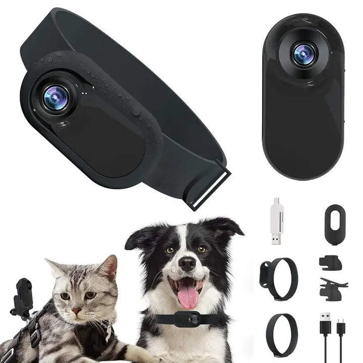 Caméra collier chat : capturez ses aventures en HD