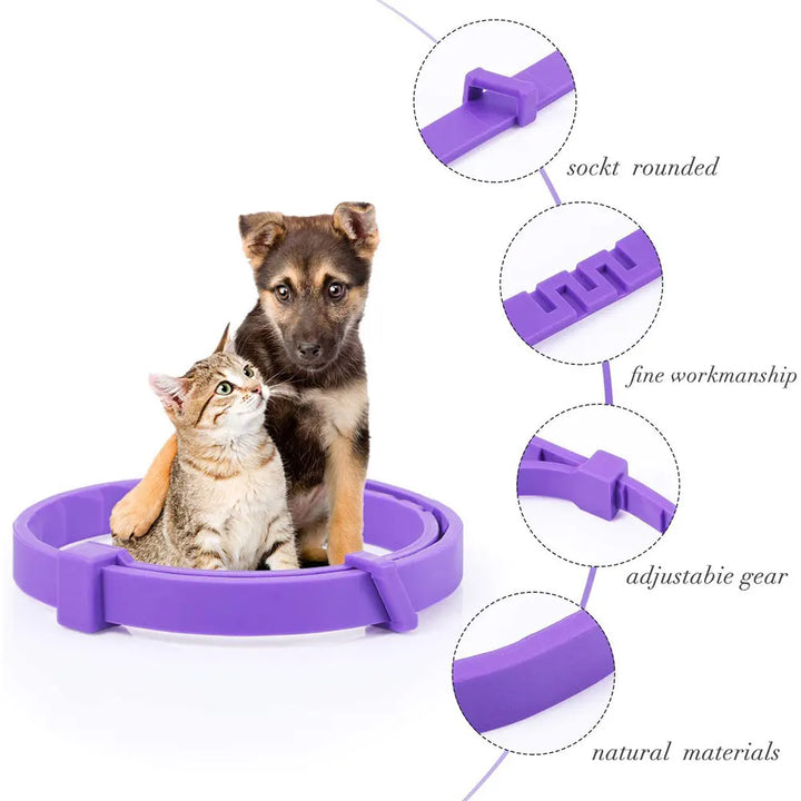 Collier apaisant chien & chat : le calme revient sans un mot