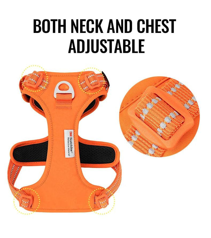 Harnais True love anti-traction chien nylon réfléchissant - HautePattes