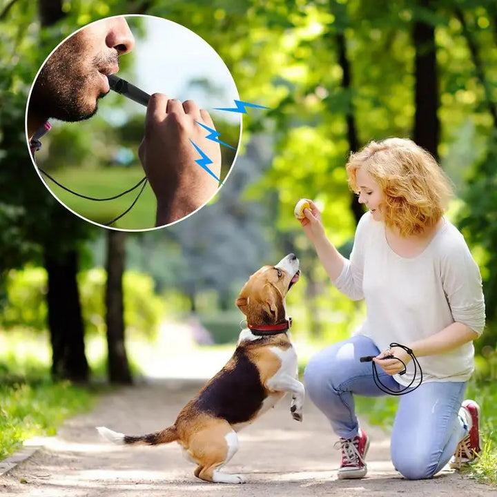 Sifflet de Dressage Portable – Sécurité & Obéissance pour Chien - HautePattes