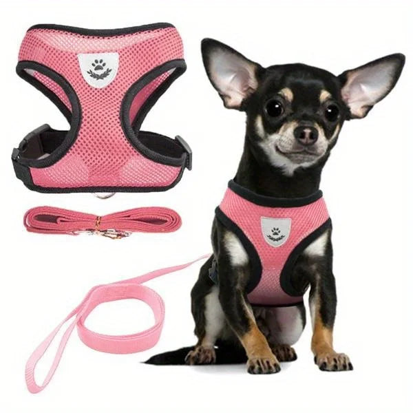 Ensemble harnais et laisse réfléchissants pour animaux de compagnie, pour chiens et chats, harnais réglable pour chiot et chat avec maille douce - HautePattes