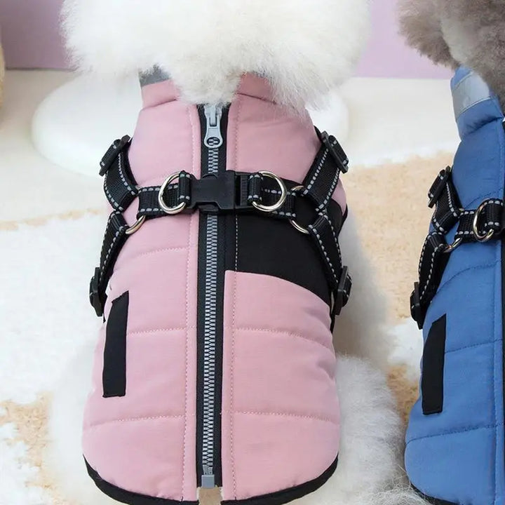 Manteau imperméable doublé pour chien stylé