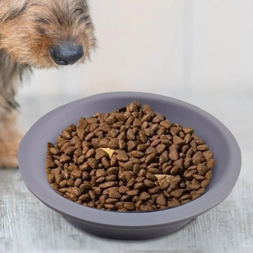 Gamelle en Silicone à Alimentation Lente pour Chiens – Design Mignon & Double Face - HautePattes